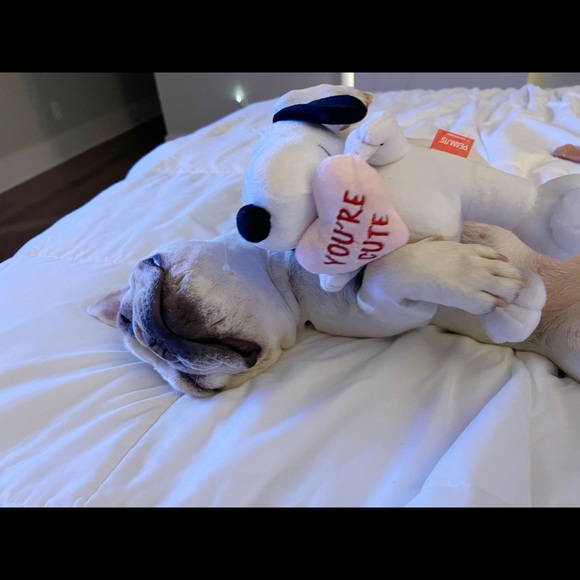 Meet your Posher, Joshua - Picture 4 of 5